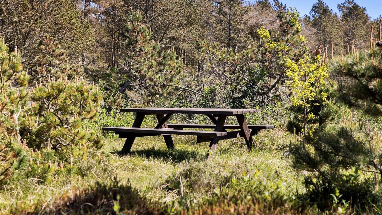 Photo of Outdoor in Sønder Vorupør
