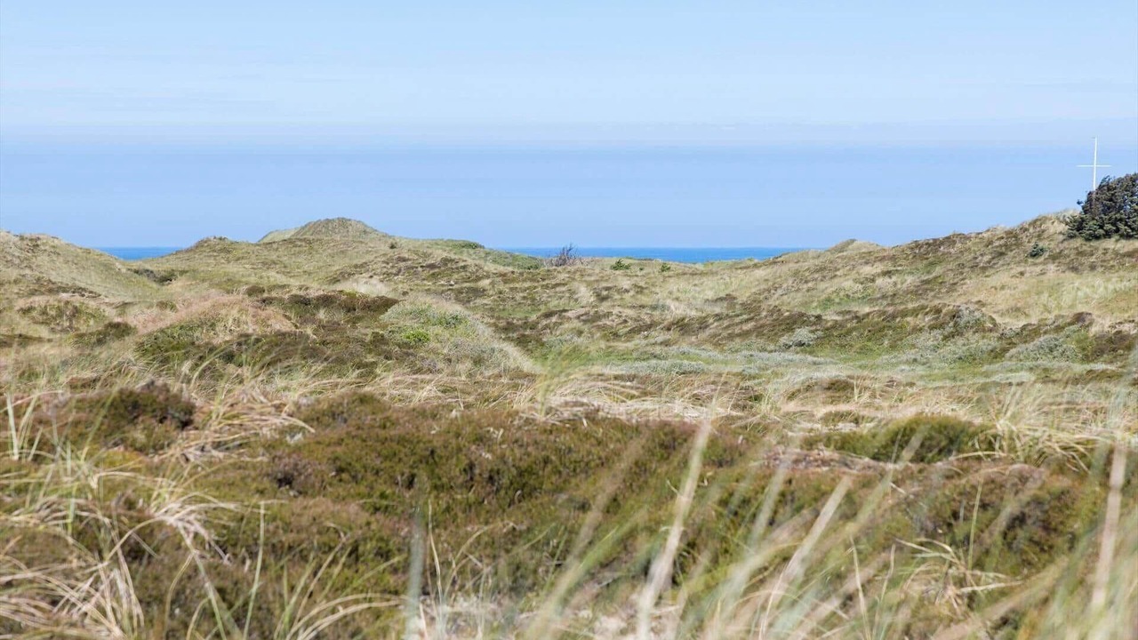 Photo of Others in Snedsted