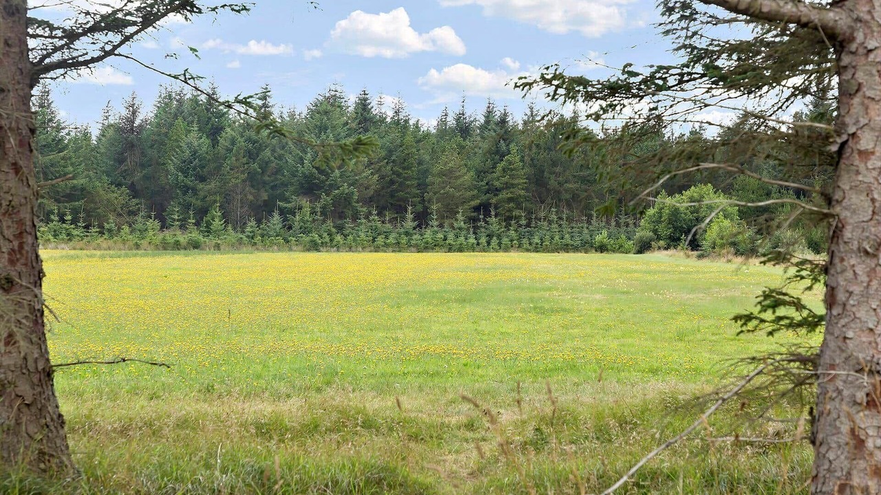 Photo of Others in Bedsted