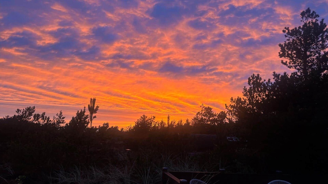 Photo of Others in Sønder Vorupør