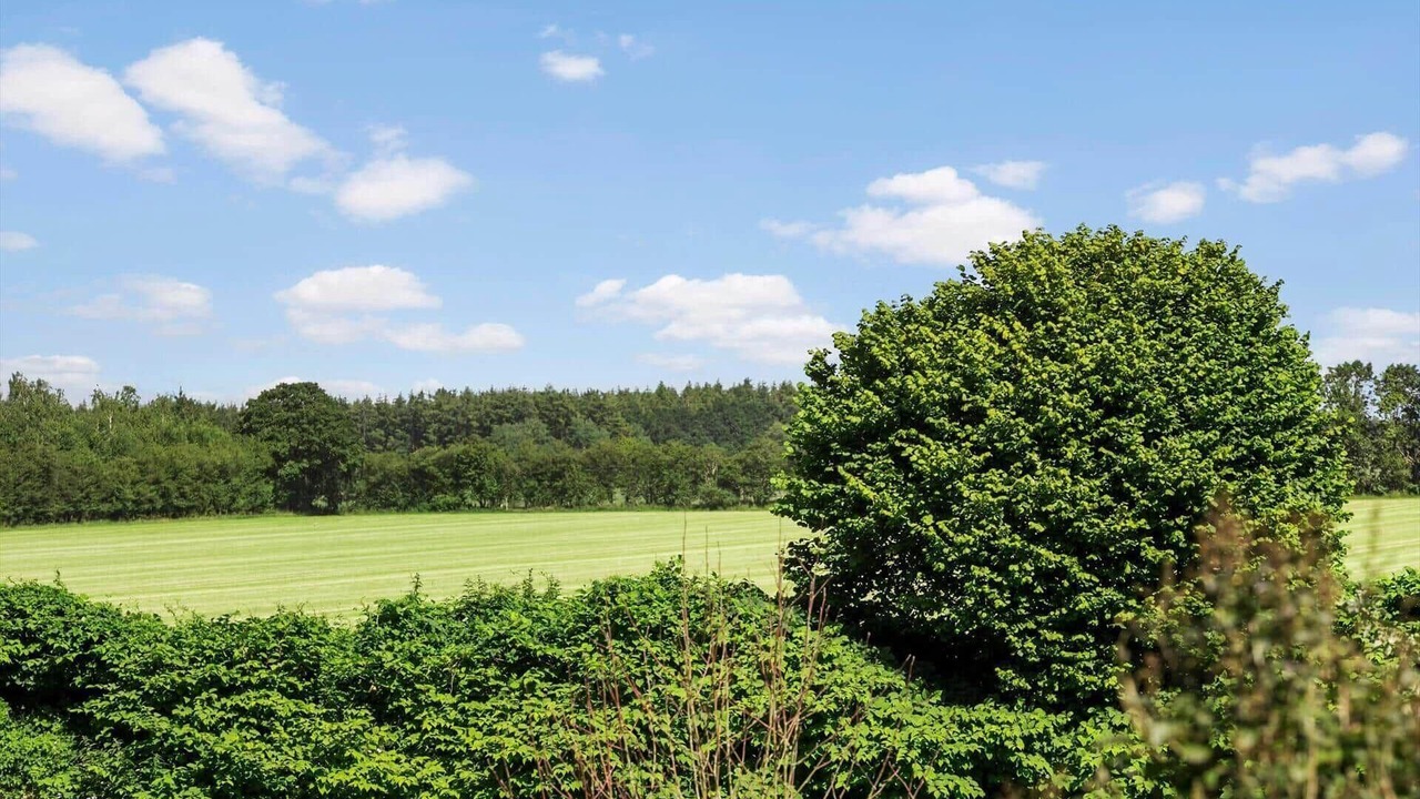 Photo of Others in Tinglev