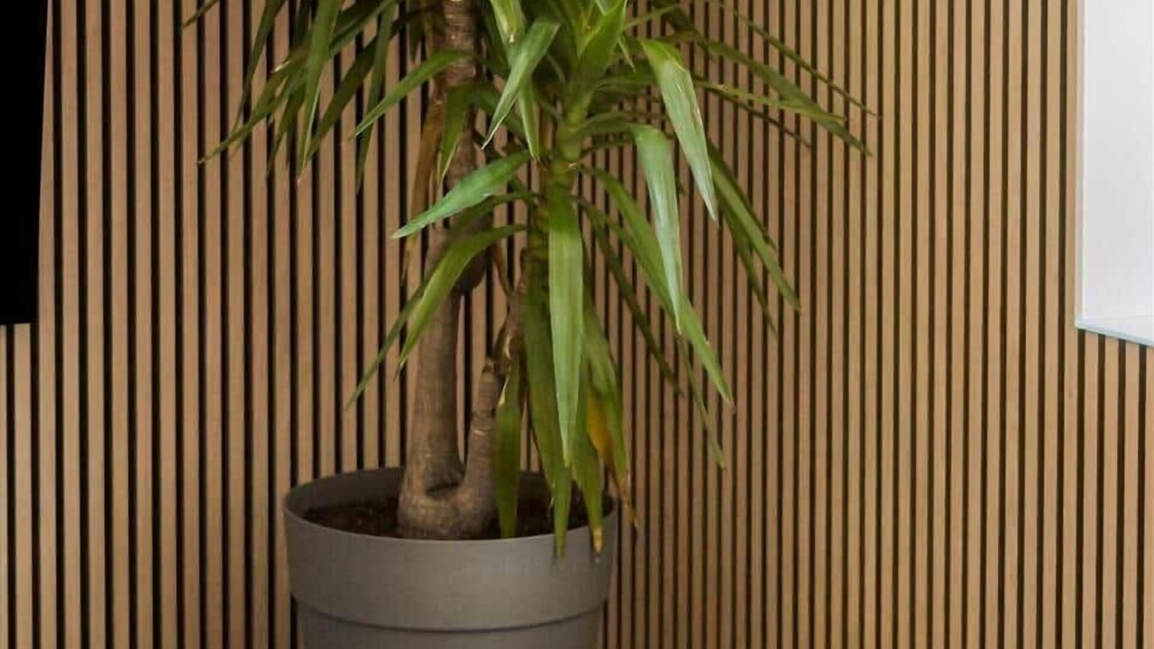 Photo of Others in Tinglev