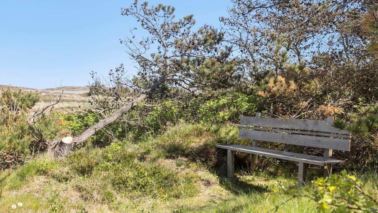 Photo of Outdoor in Vorupør