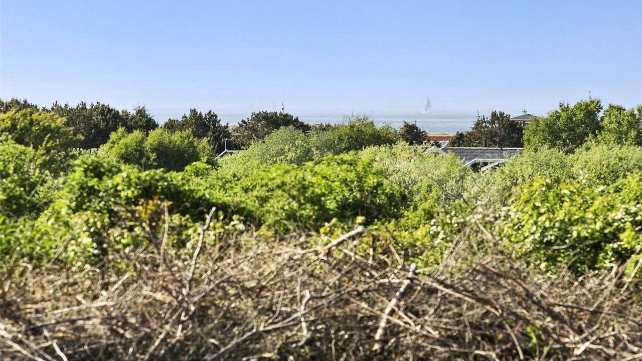 Photo of Others in Hirtshals