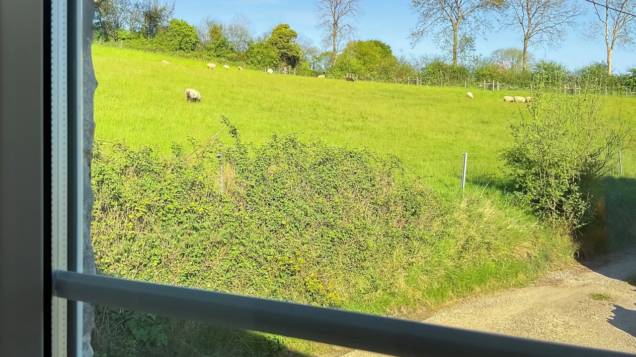 Photo of Others in Chard