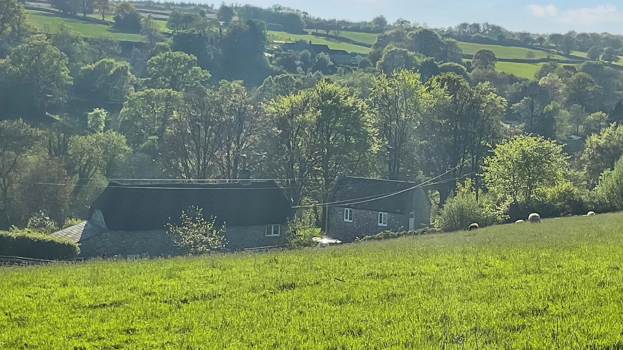 Photo of Others in Chard