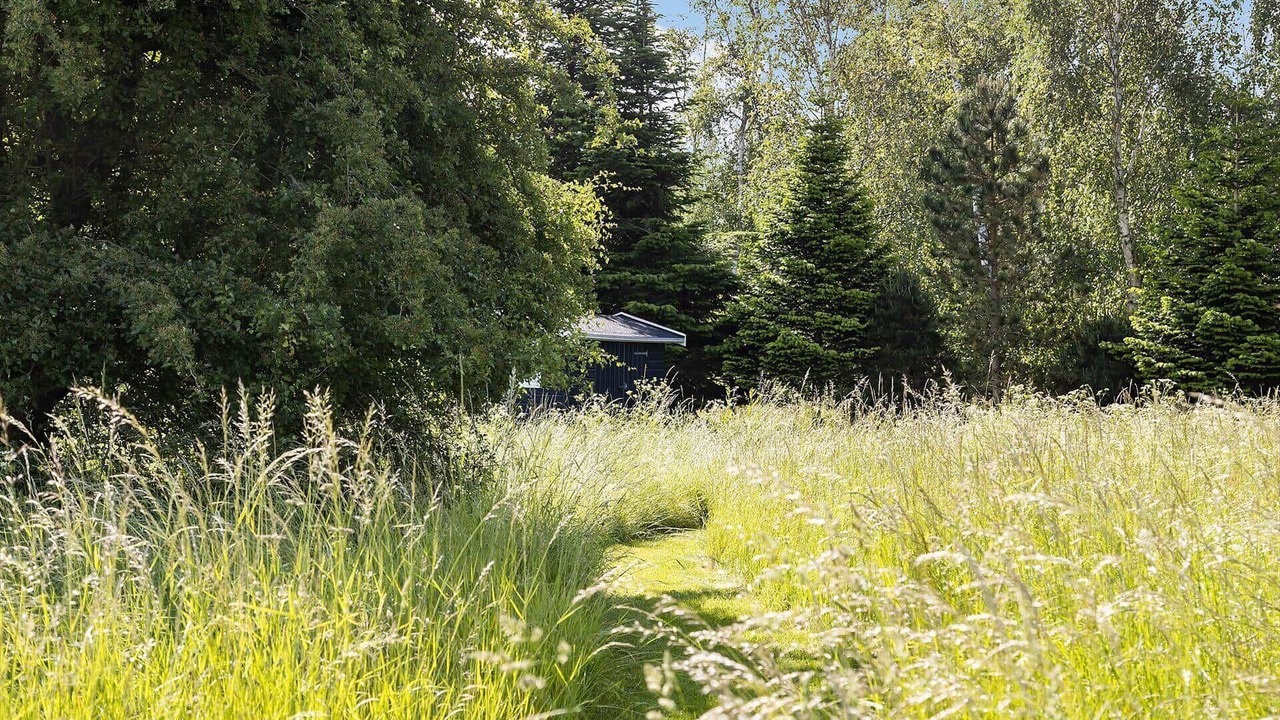 Photo of Outdoor in Tversted