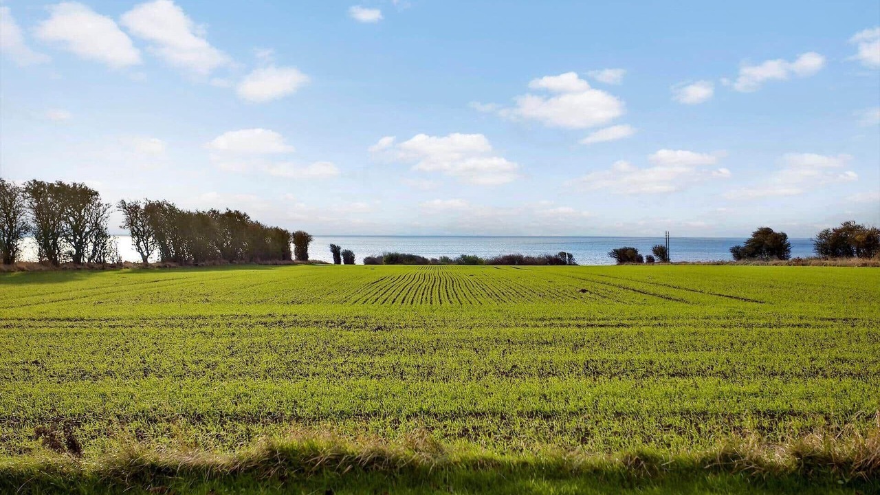 Photo of Others in Soeby