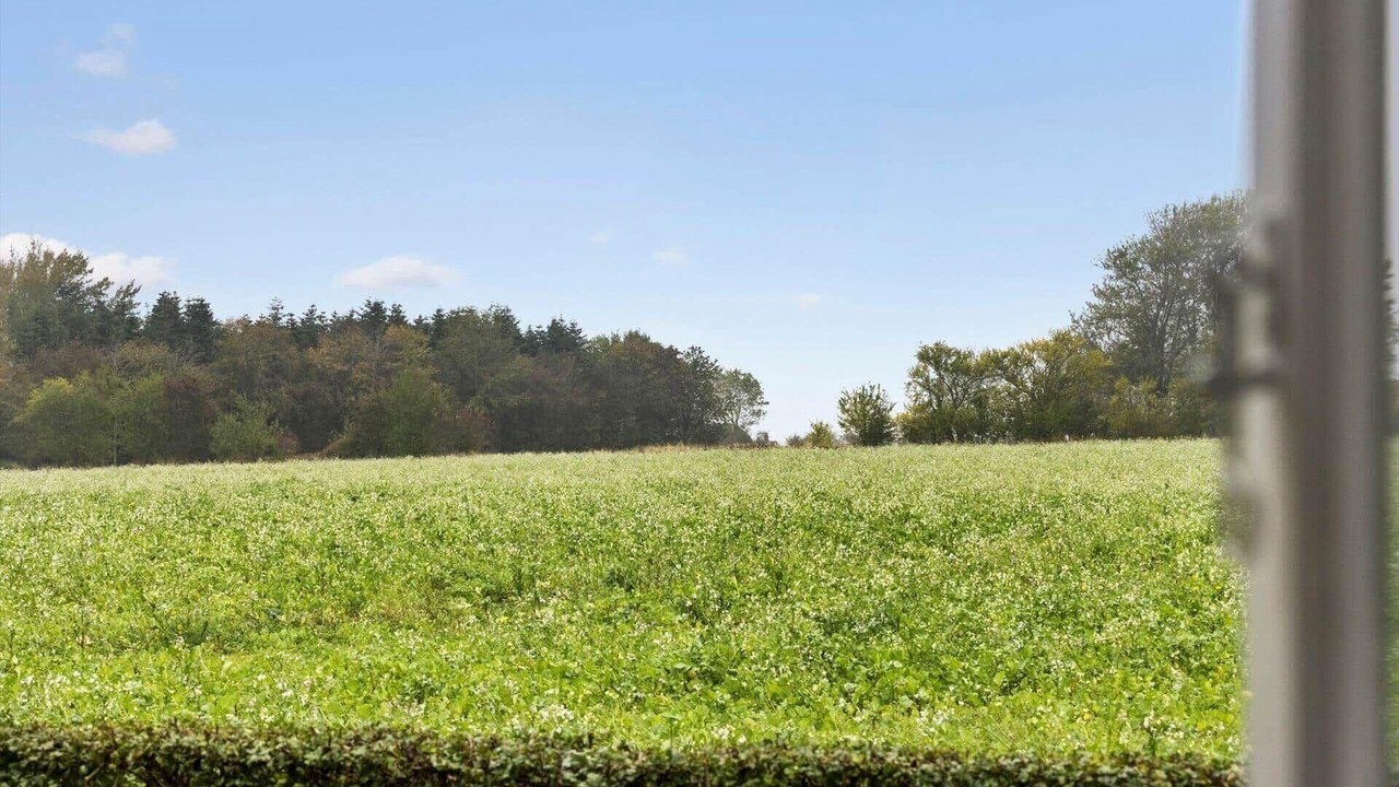 Photo of Others in Marstal