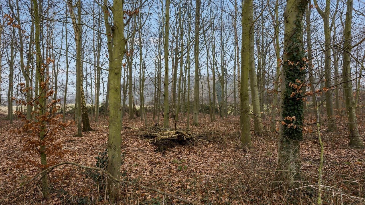 Photo of Others in Soeby