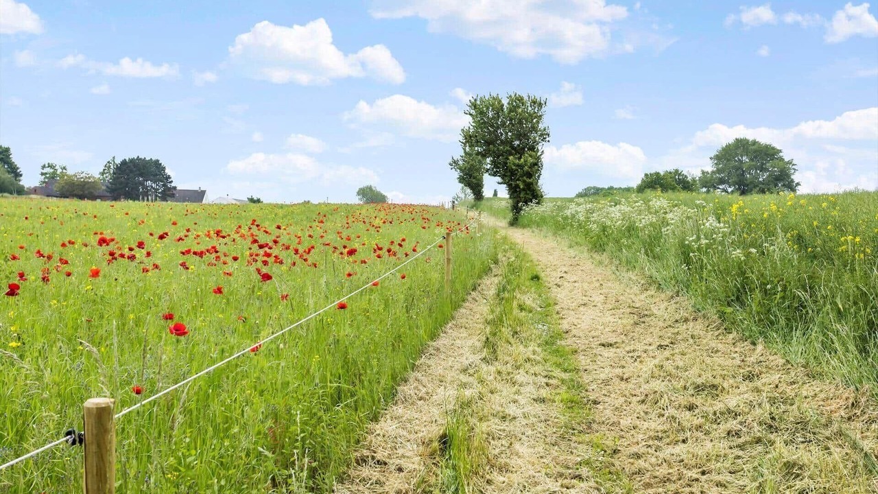 Photo of Others in Soeby