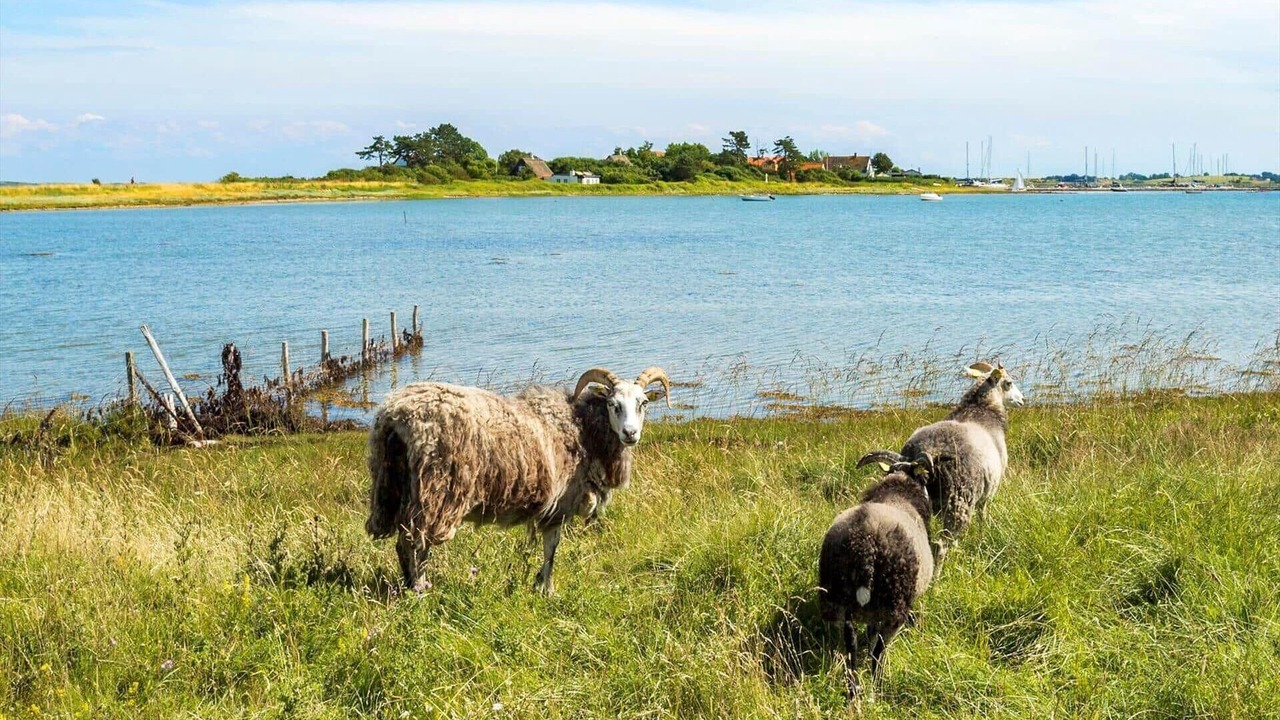 Photo of Others in Samsø