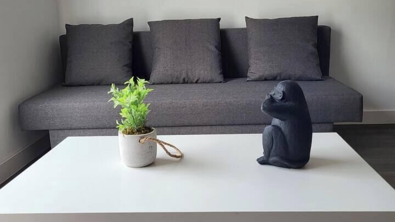 Photo of Others in Cholet