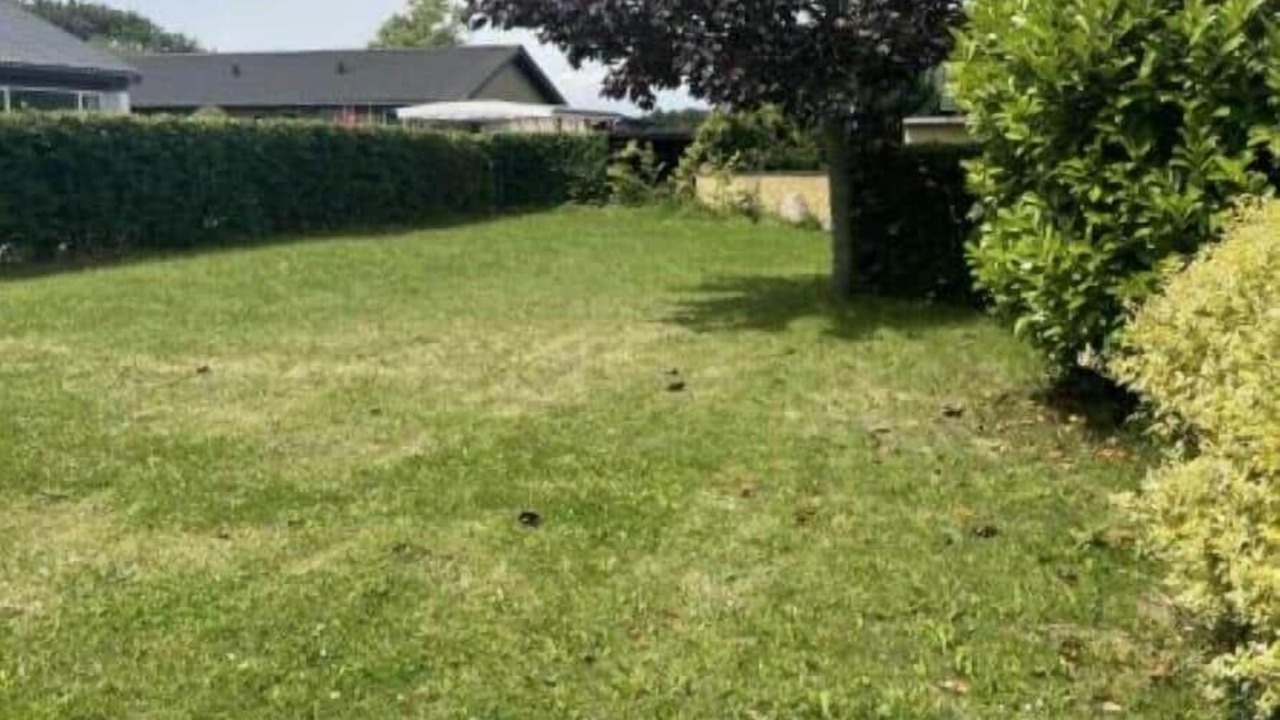 Photo of Outdoor in Aeroskobing