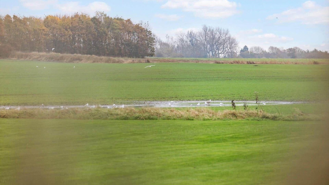 Photo of Others in Samsø