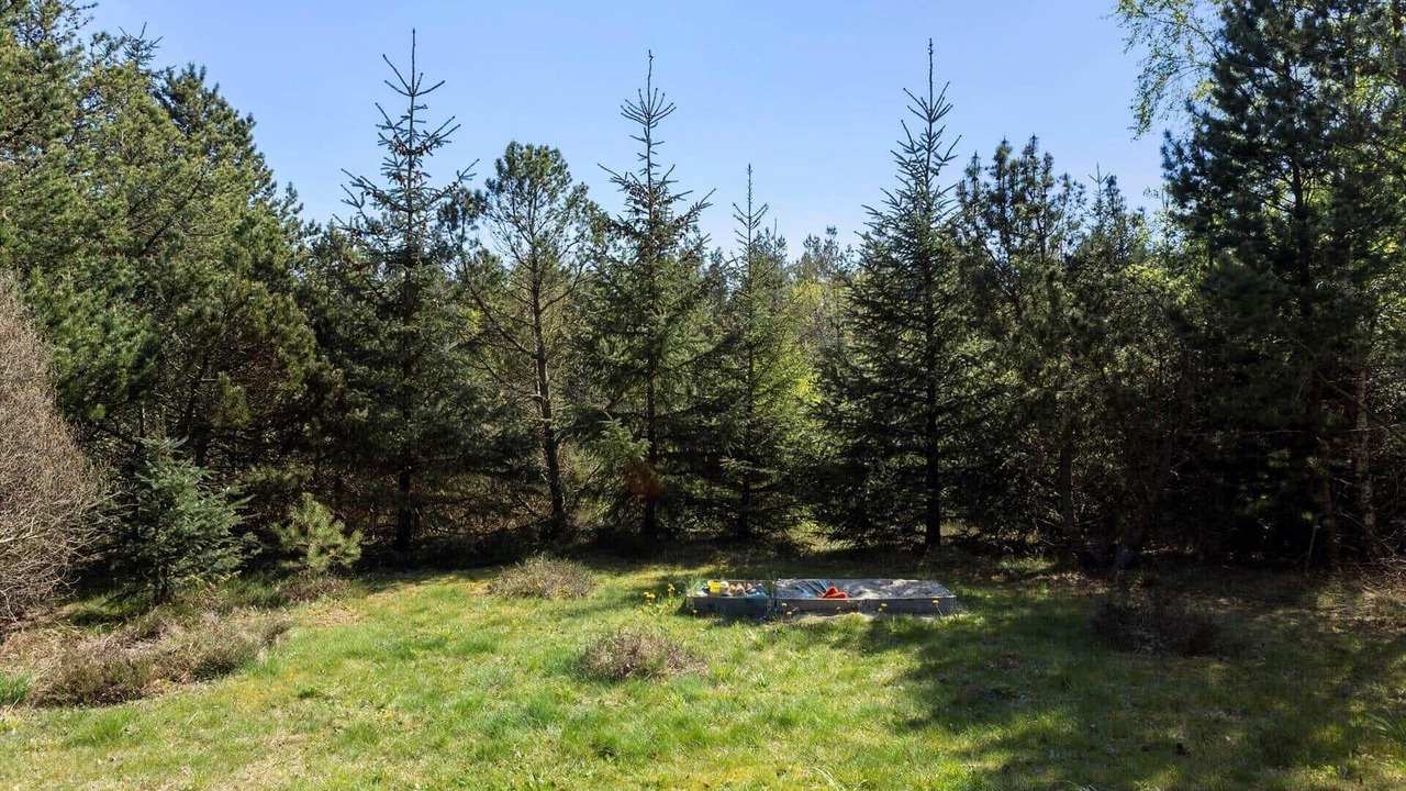 Photo of Outdoor in Tranum