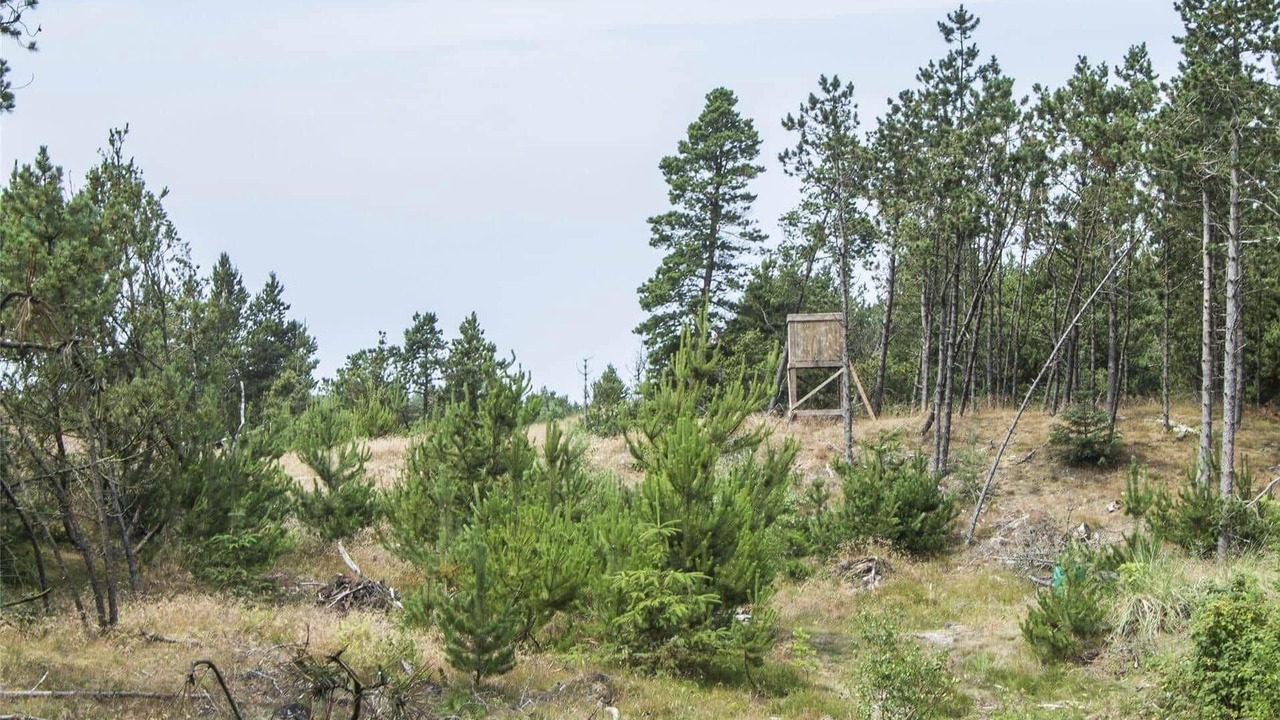 Photo of Others in Brovst