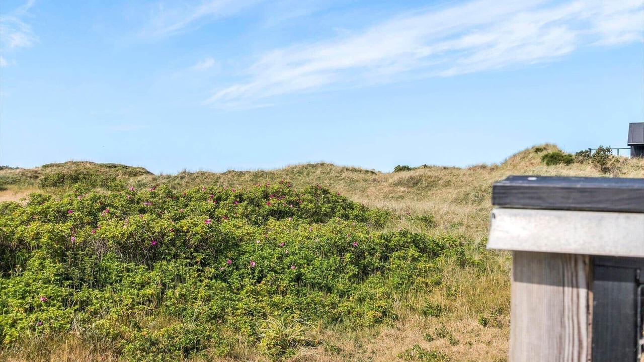 Photo of Outdoor in Hirtshals