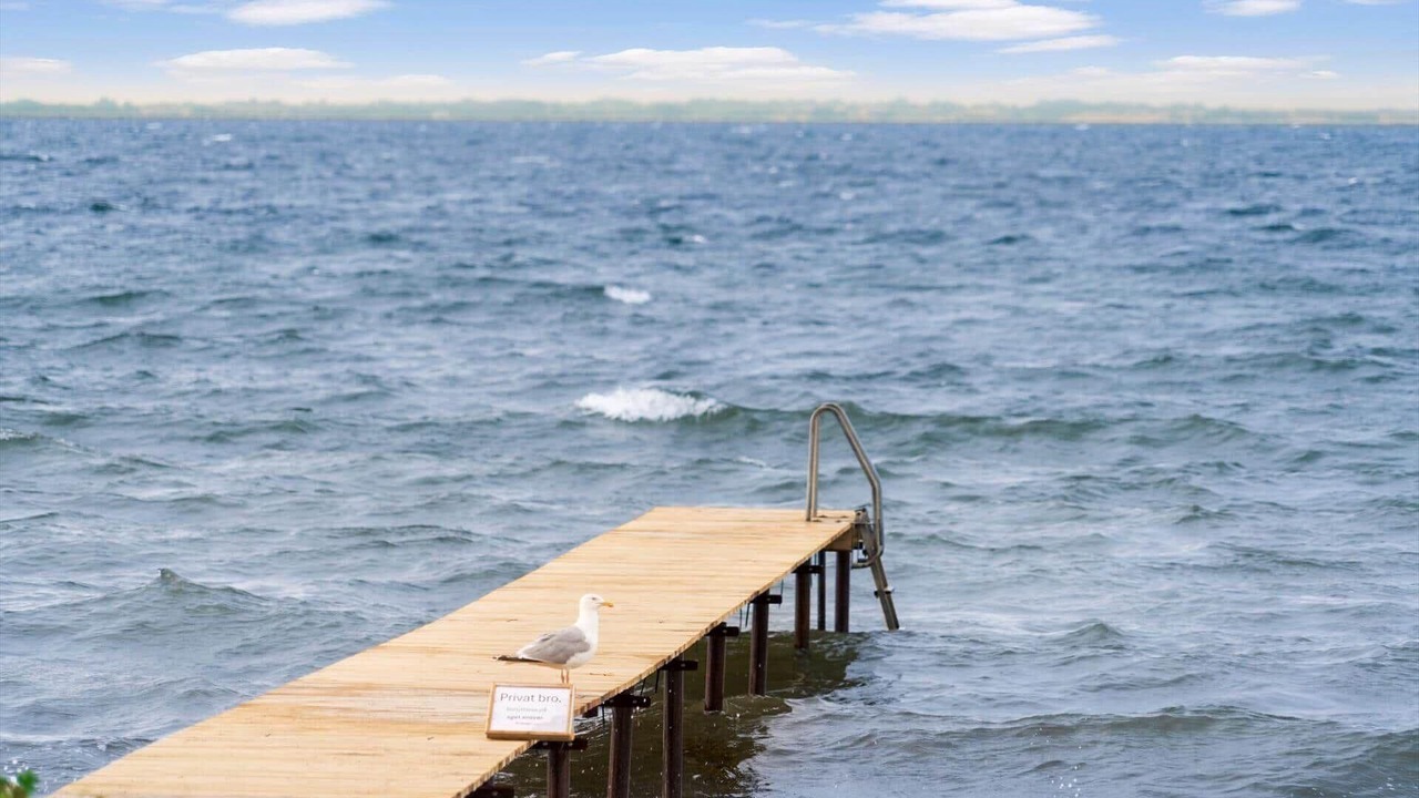 Photo of Others in Kelstrup Strand