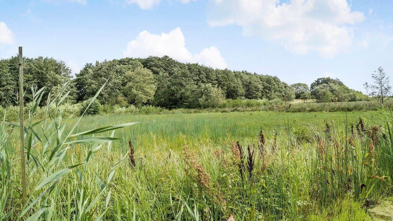 Photo of Others in Hejsager Strand