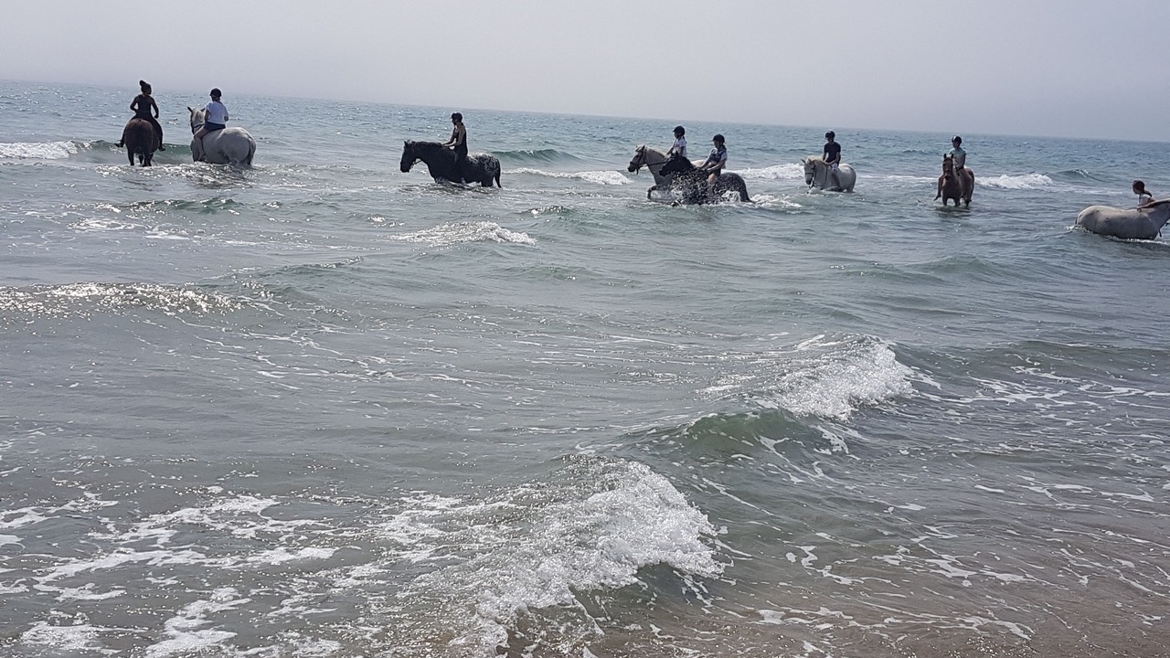 Photo of Others in Sigean