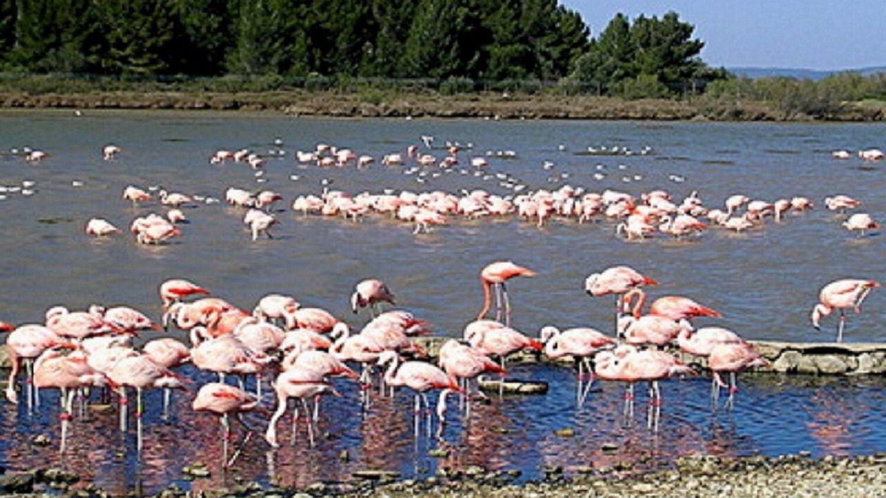 Photo of Others in Sigean