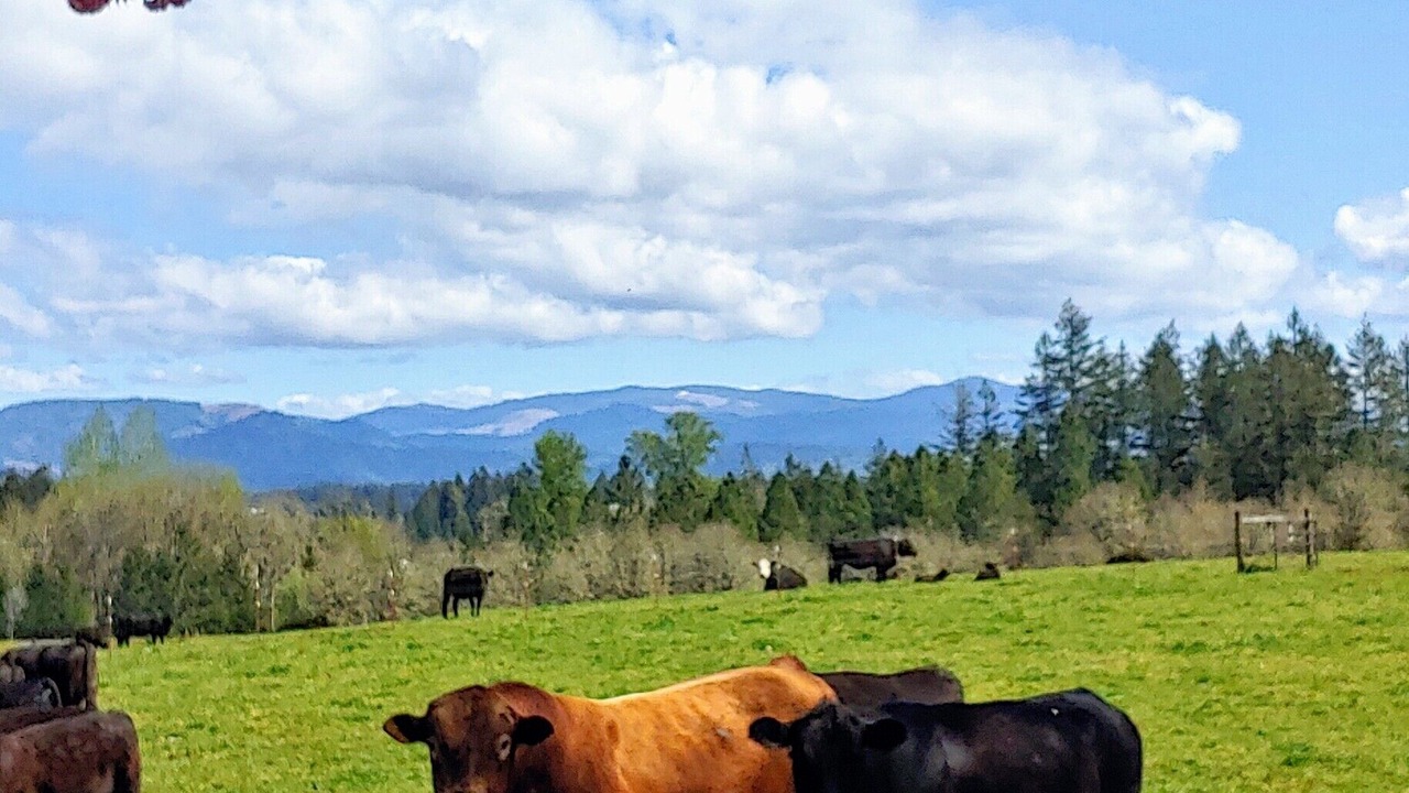 Photo of Others in West Stayton