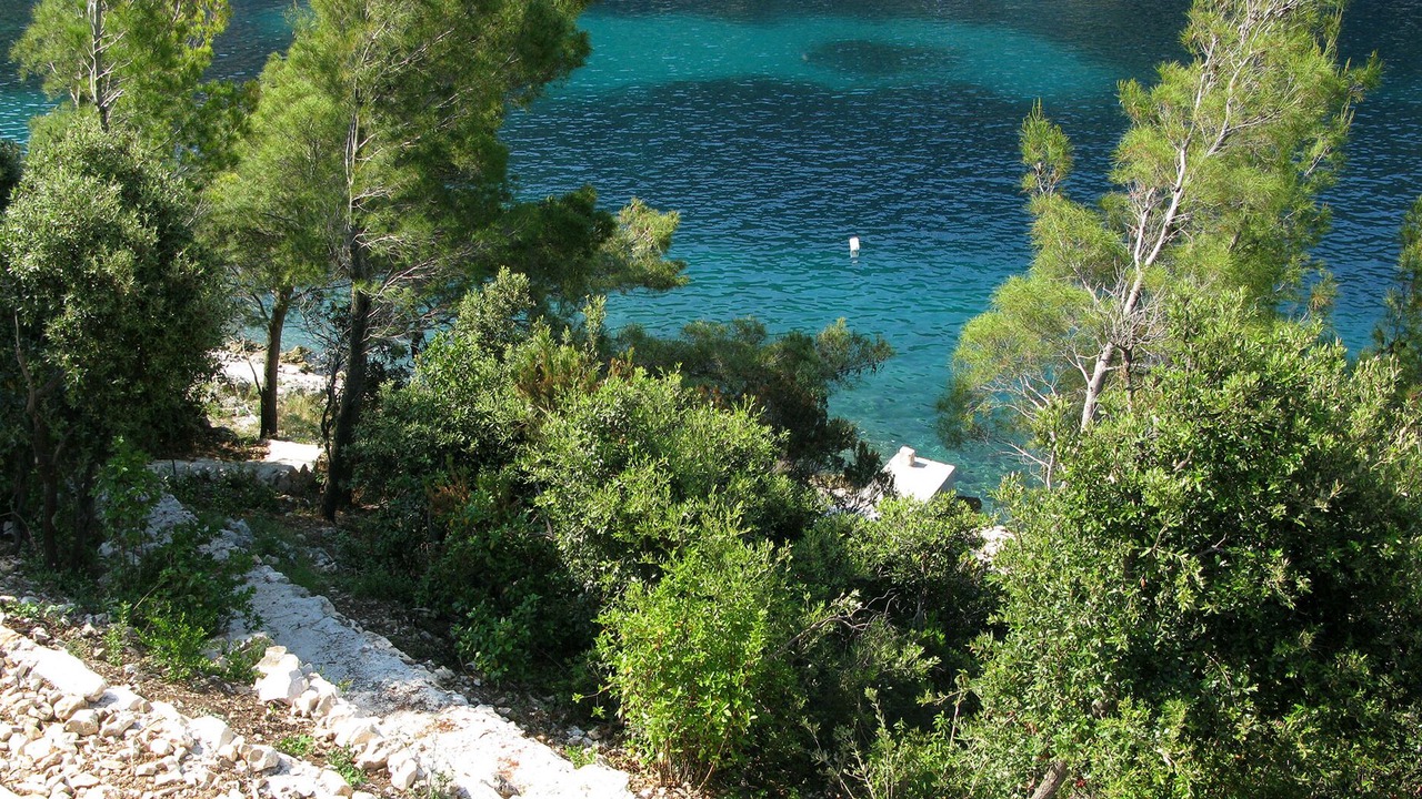 Photo of Others in Blato