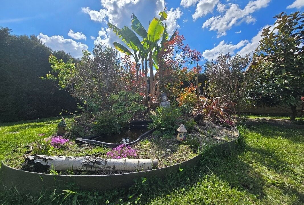 Photo of Outdoor in Sanguinet
