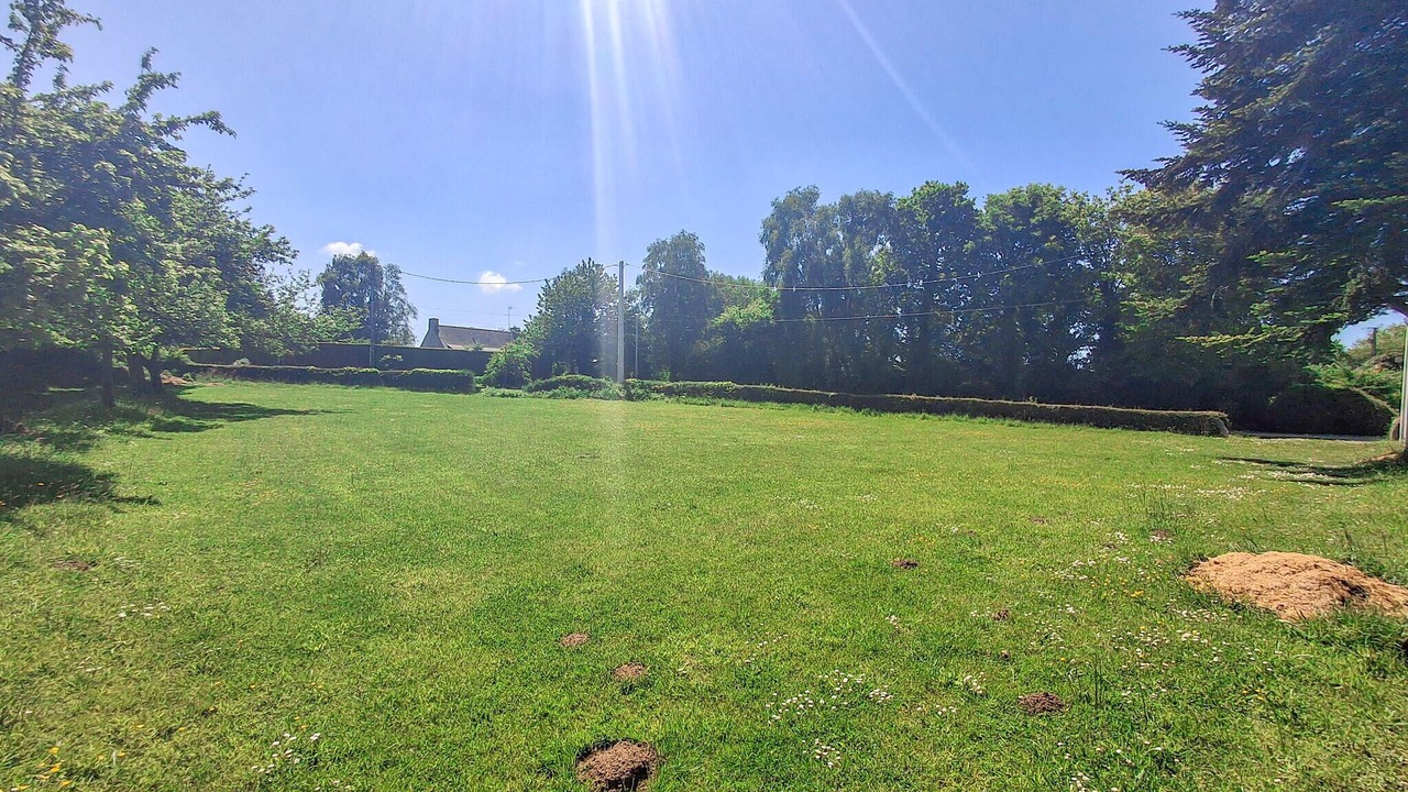 Photo of Others in Louargat