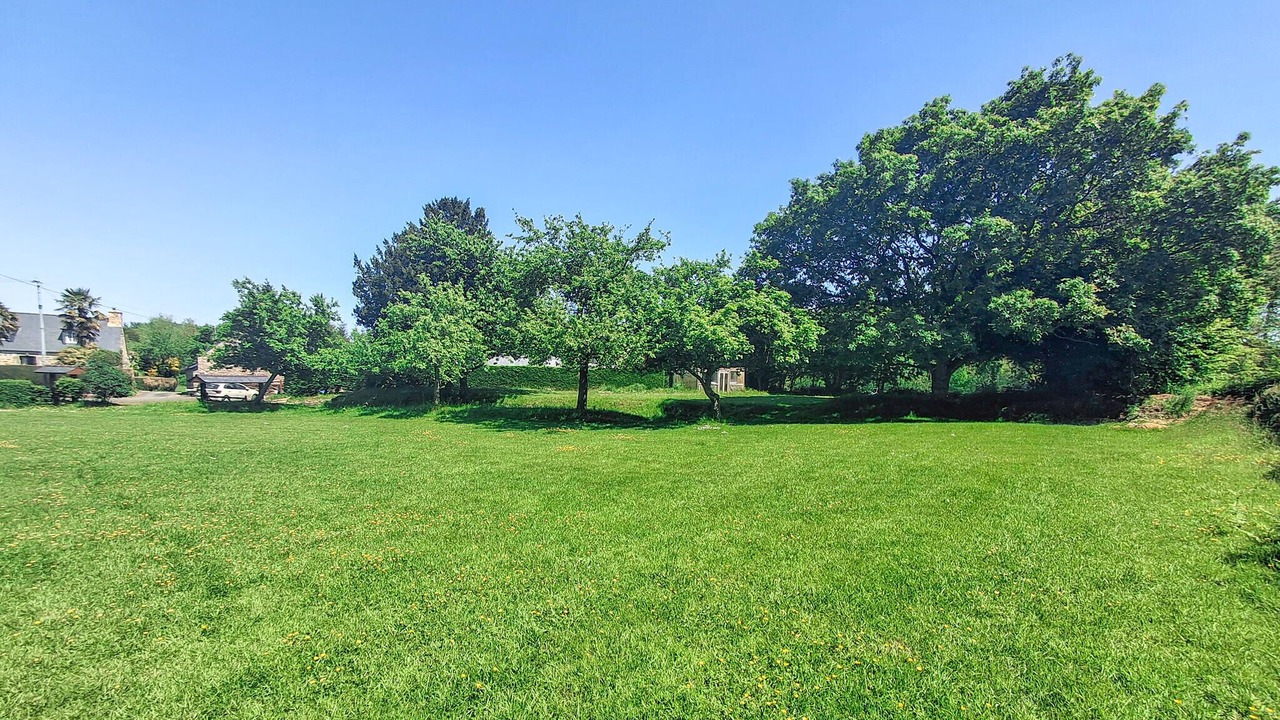 Photo of Others in Louargat