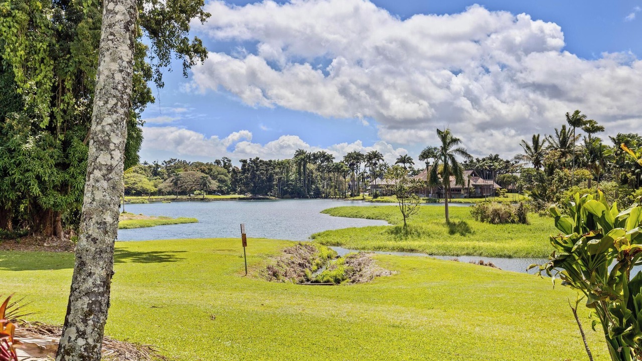 Photo of Others in Hilo