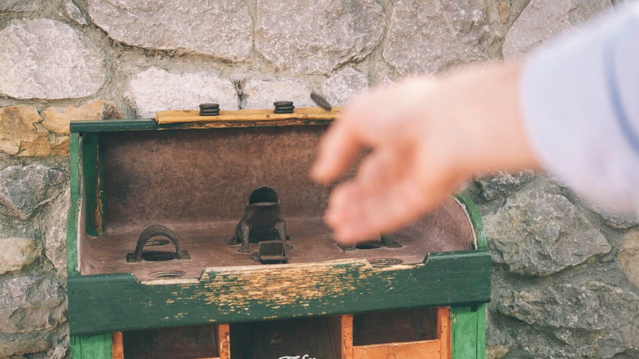 Photo of Others in Llamigo