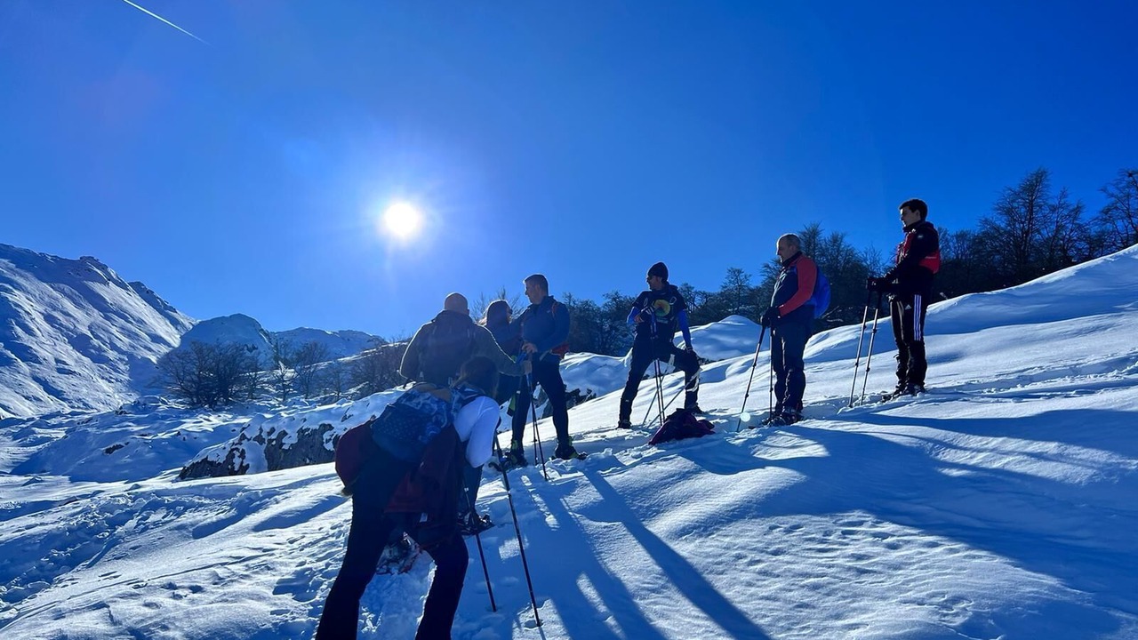 Photo of Others in Llamigo