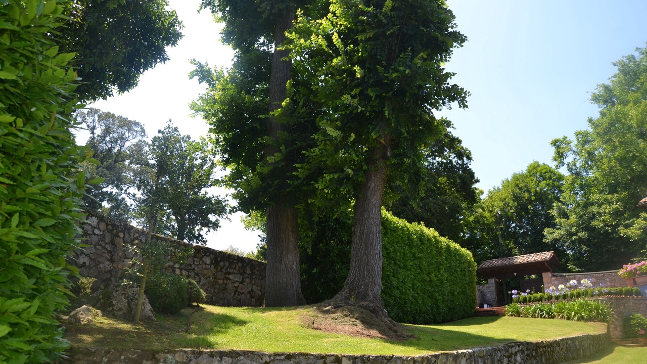 Photo of Outdoor in Llamigo
