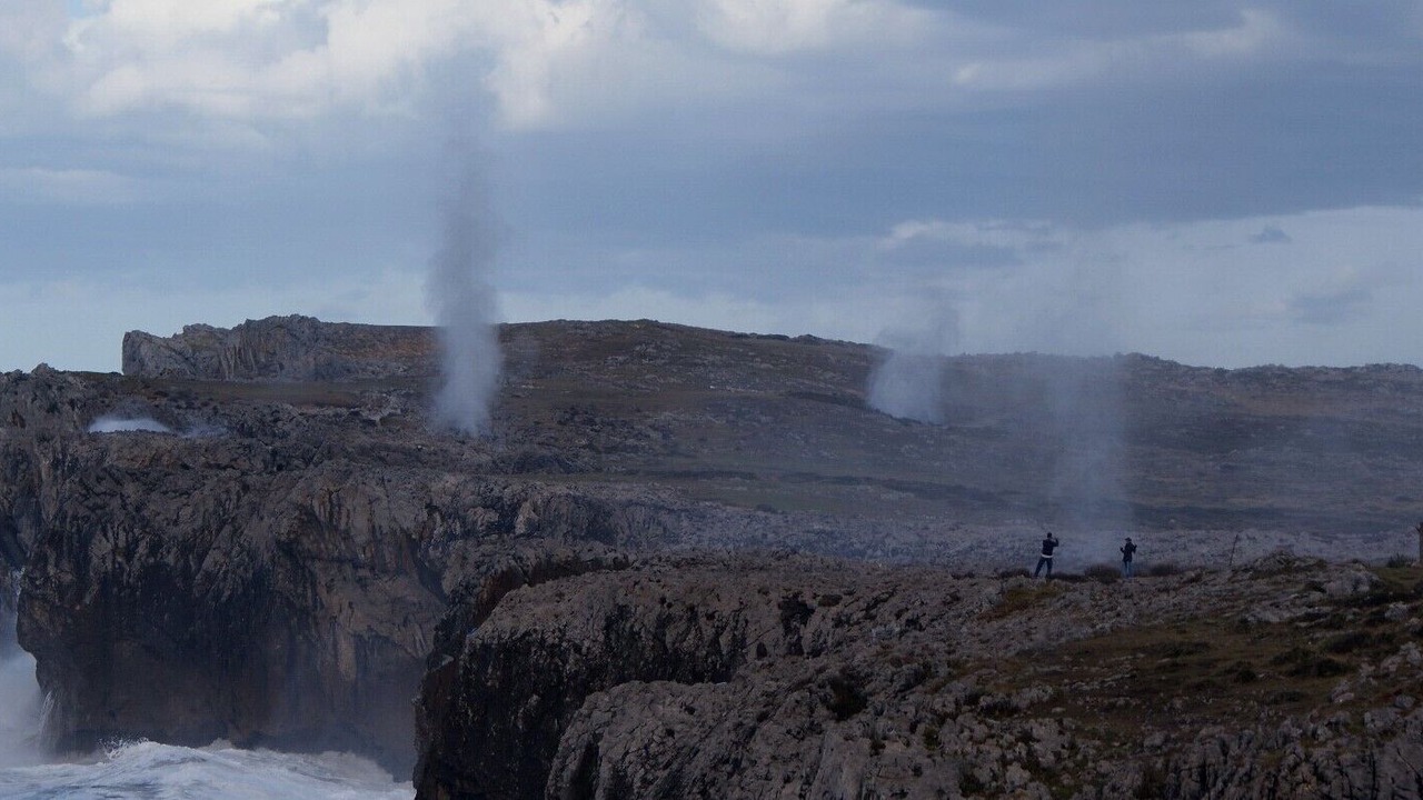 Photo of Others in Llamigo