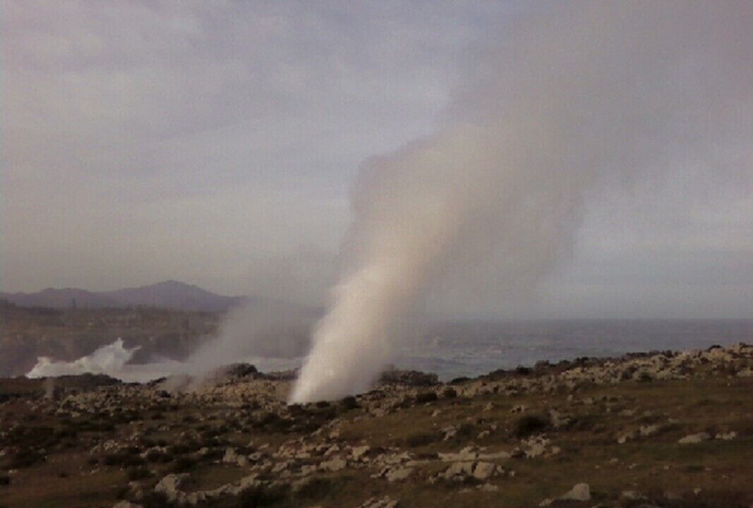 Photo of Others in Llamigo