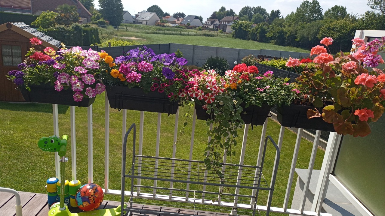 Photo of Outdoor in Lillers
