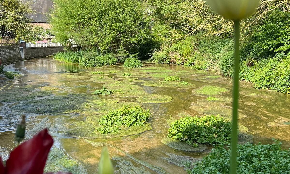 Photo of Outdoor in Veules-les-Roses