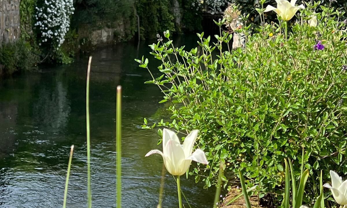 Photo of Outdoor in Veules-les-Roses