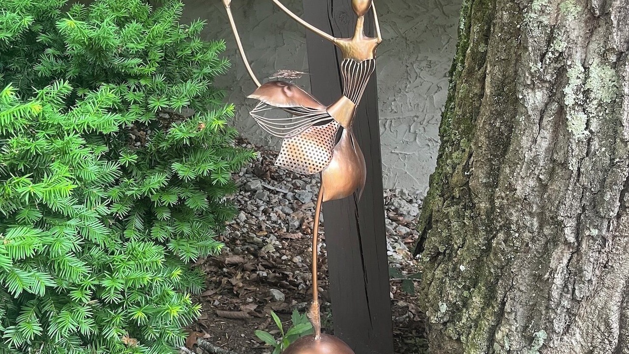 Photo of Outdoor in Bean Station
