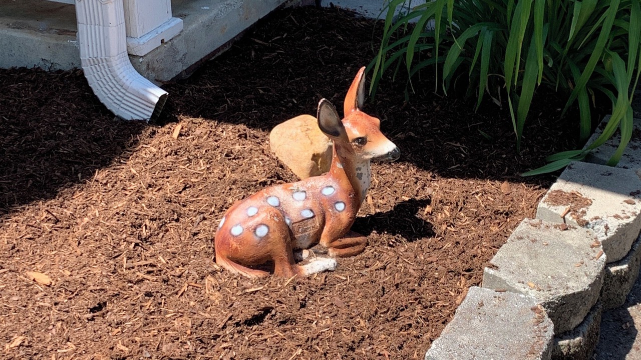 Photo of Others in Mount Airy