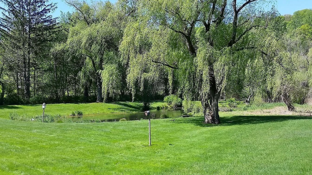 Photo of Others in Chappaqua