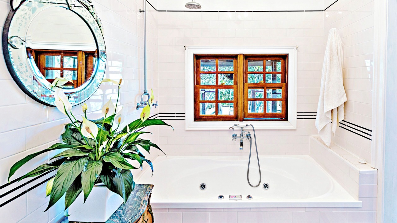 Photo of Others in Woolgoolga