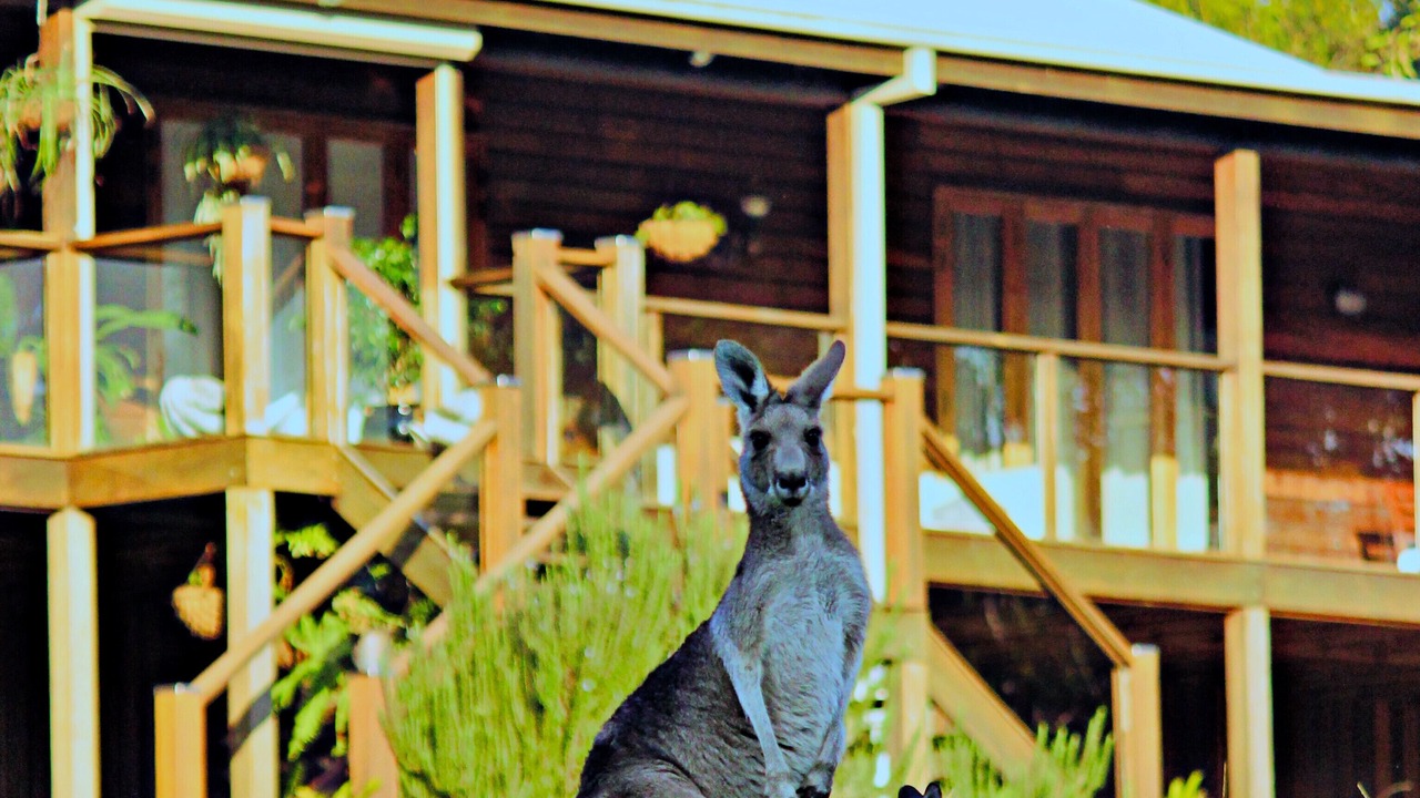 Photo of Others in Woolgoolga