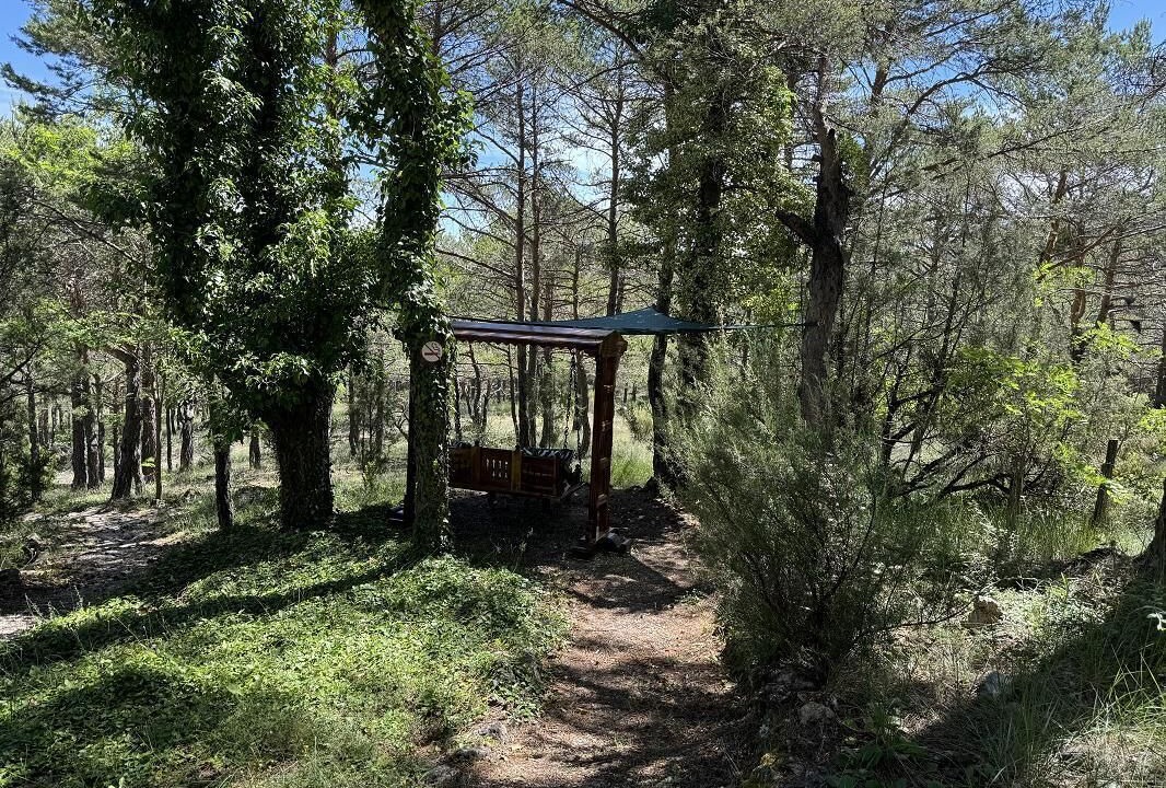 Photo of Others in Tourtour