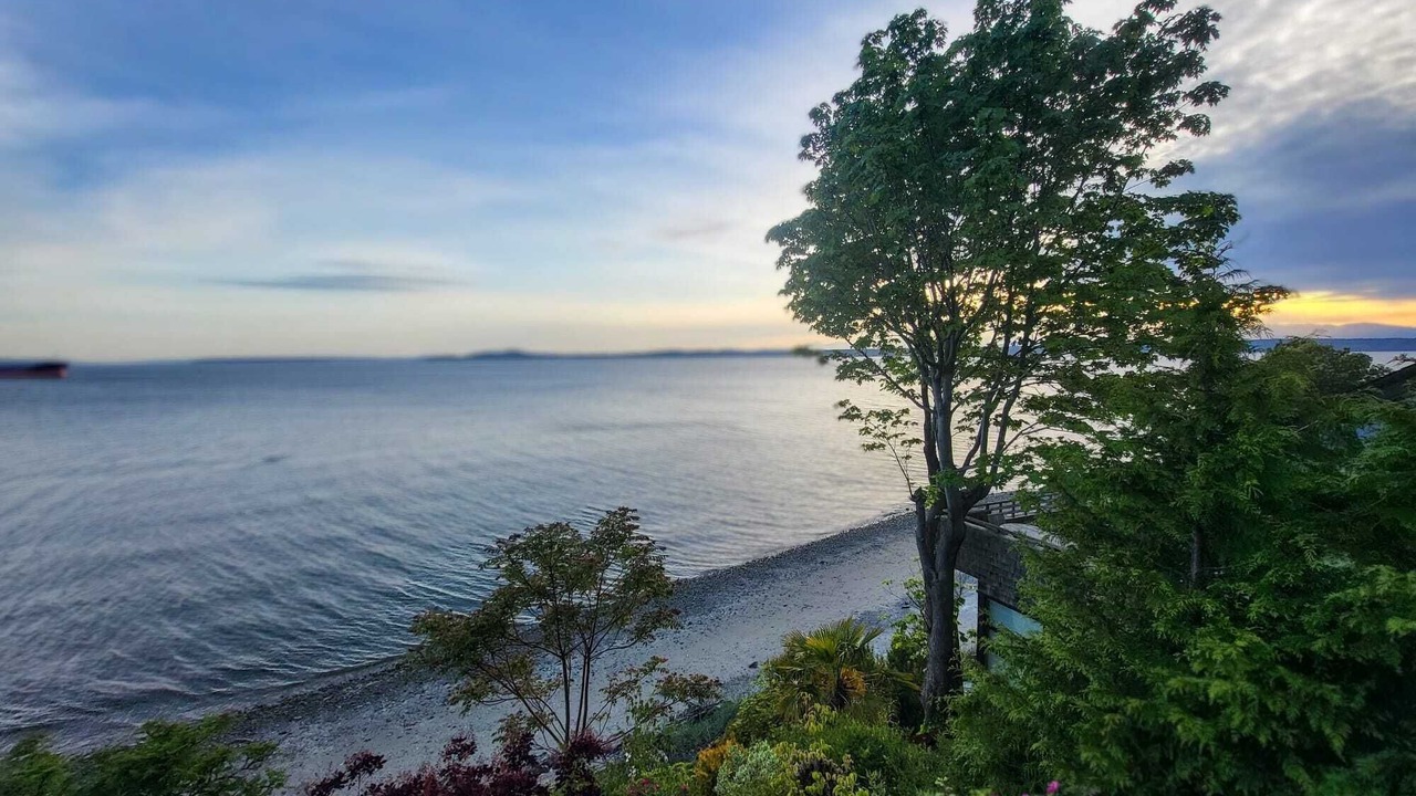 Photo of Others in Magnolia