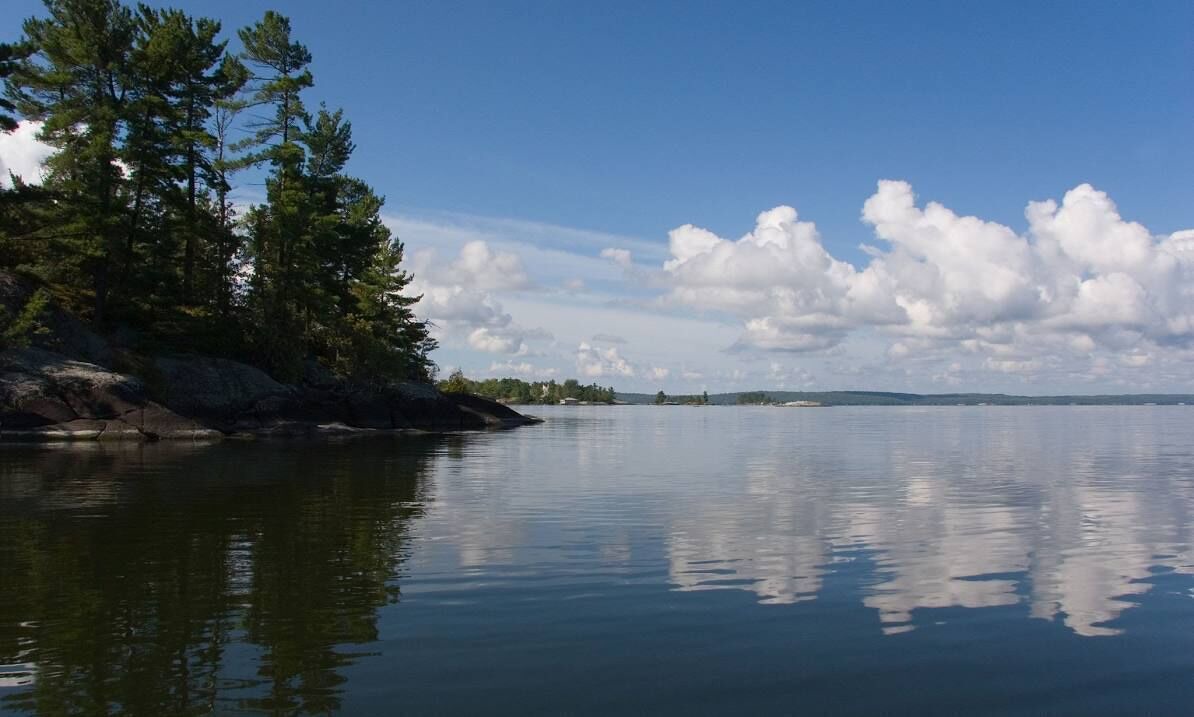 Photo of Others in North Bay