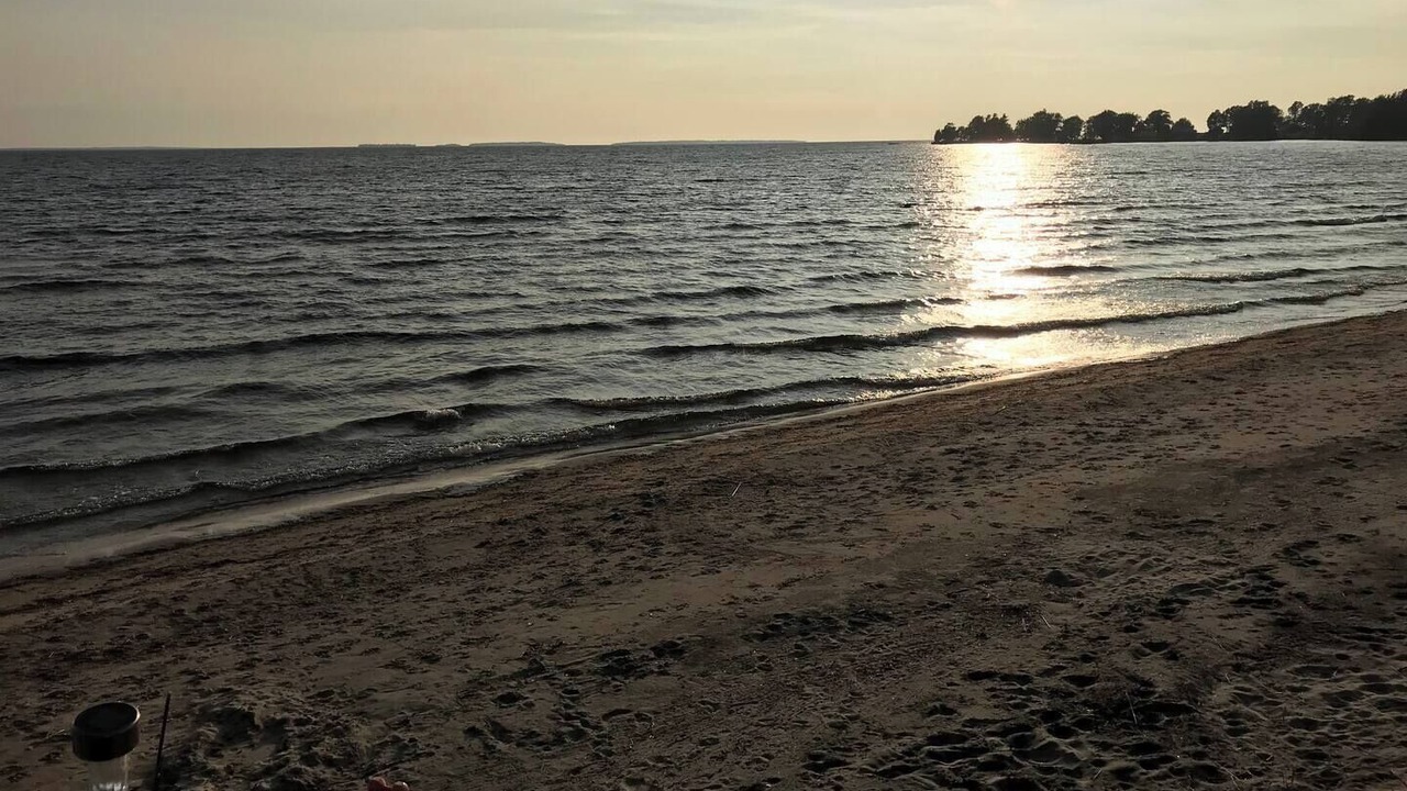 Photo of Others in North Bay