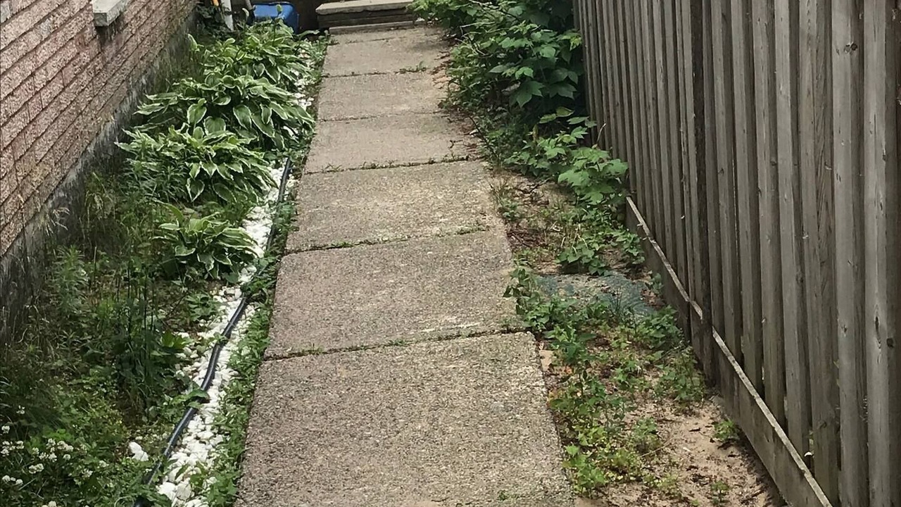 Photo of Outdoor in North Bay